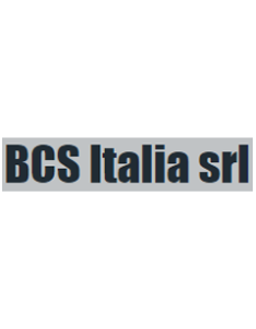 bcs-italy.png