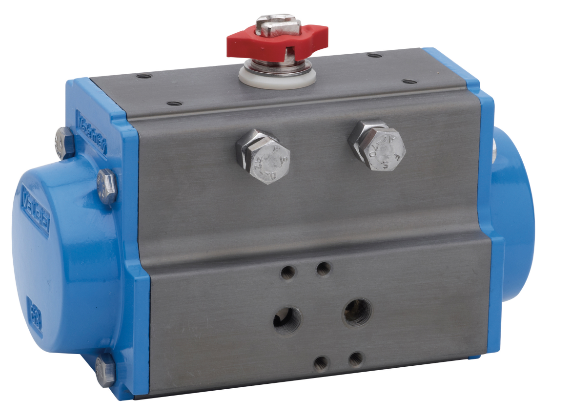 82DA0020 Pneumatic actuator DA140 S82 Valbia Vietnam