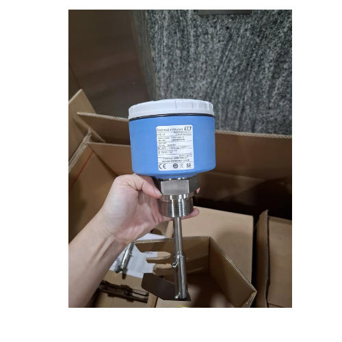 Cảm biến mức FTE31-A1D121 E+H