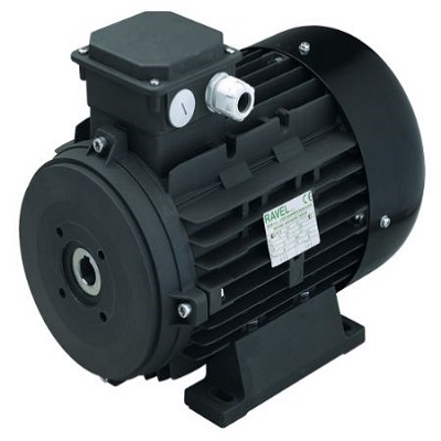 Động cơ điện Ravel Electric motor 1076A