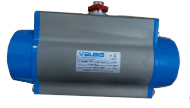 Pneumatic actuator SR115 S82 - Valbia Vietnam