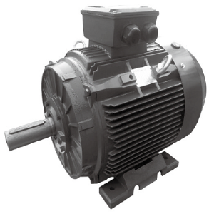 t3c-315l2-6-ac-induction-motor-techtop.png